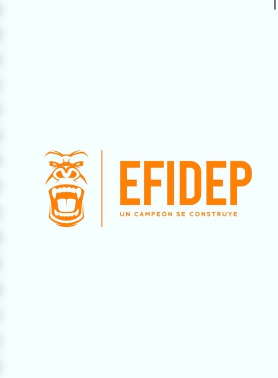 EFIDEP
