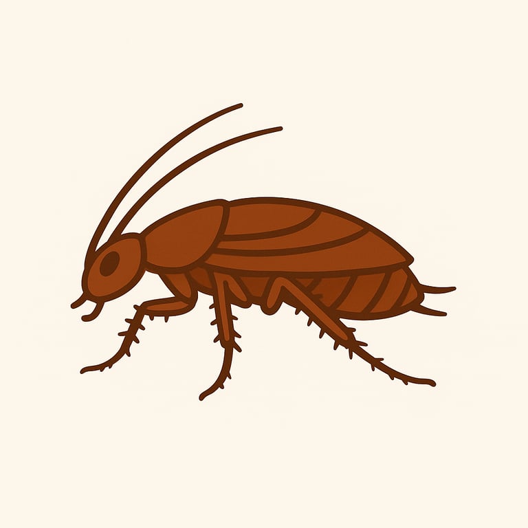 Cockroaches