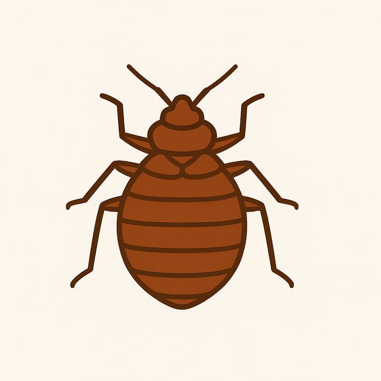 Bed Bugs