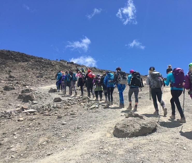 7-Day Tanzania Shira Route Trek — 4