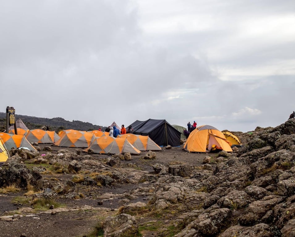 7-Day Tanzania Shira Route Trek — 3