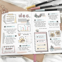 Bullet Journals
