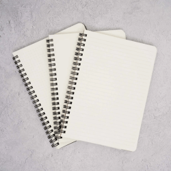 Caderno Espiral