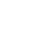 Duquesne Logo