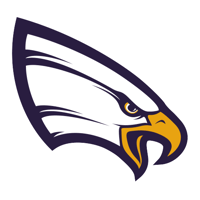 Northwestern (MN) Logo