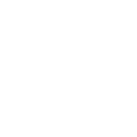 Washington State Logo