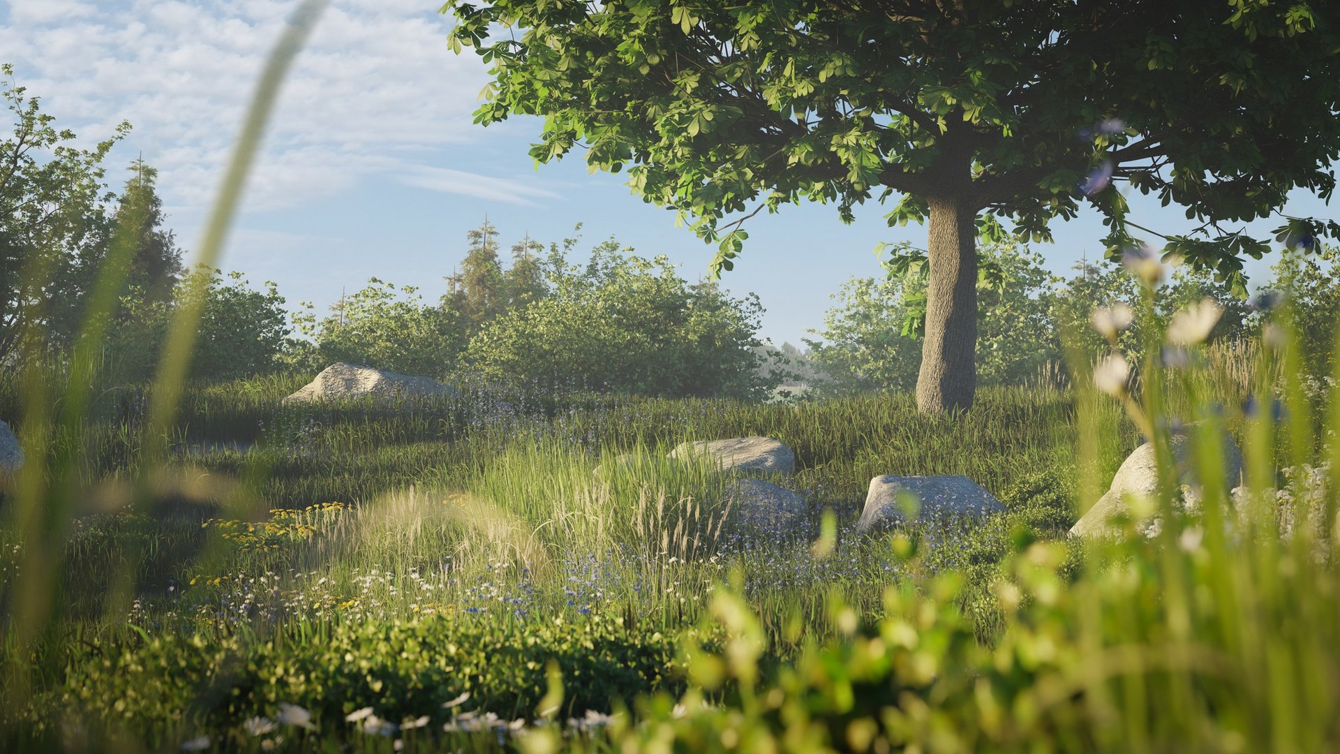 381d682c-6266-4506-d478-0c5756f39900