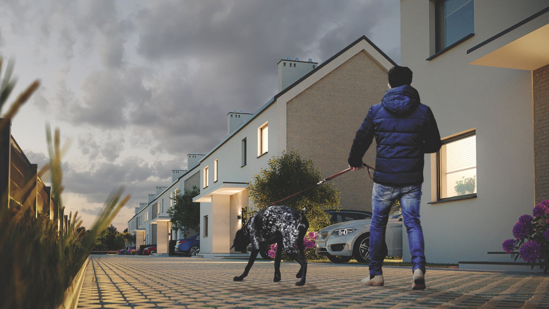 6a5b5012-4738-4290-cd61-d4163a707d00