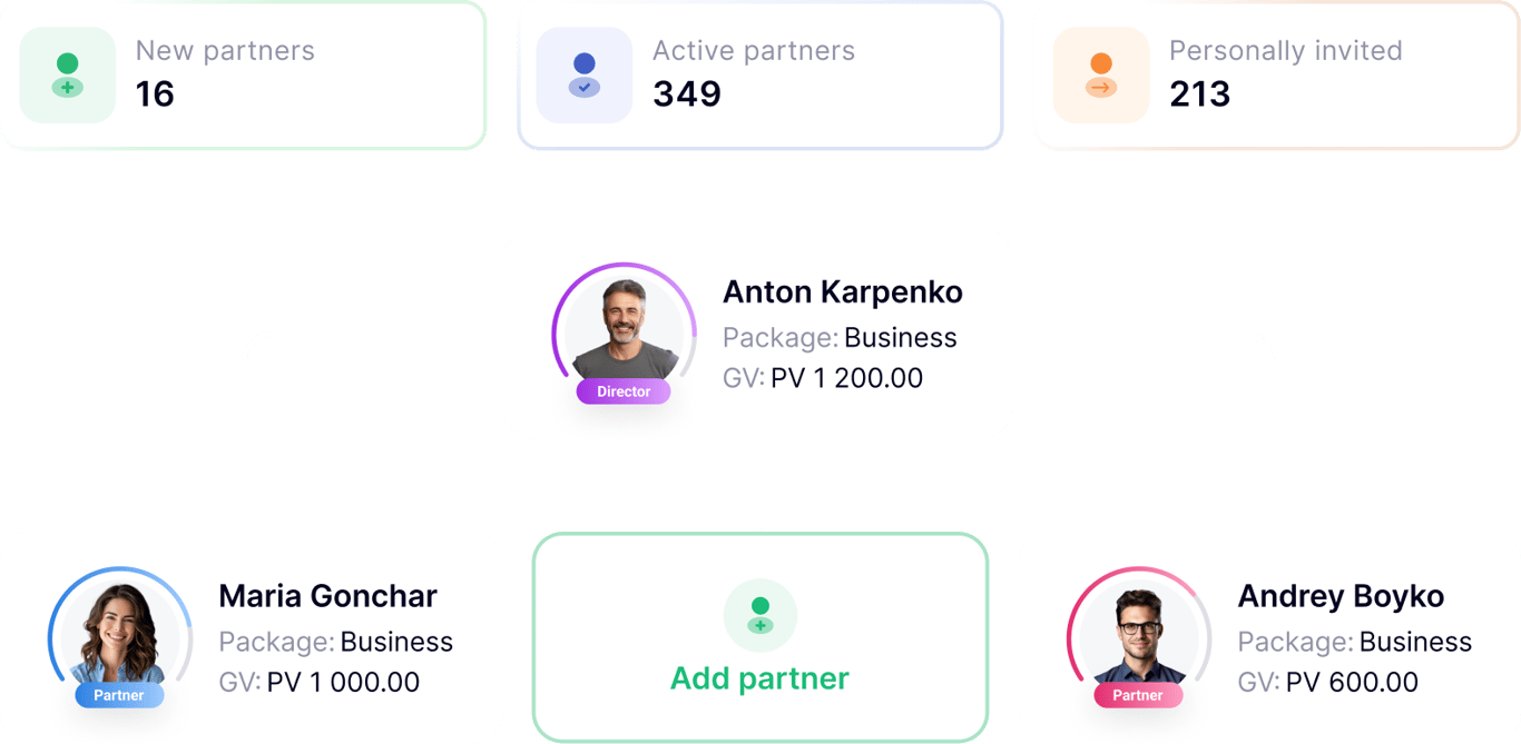 Graphic network of partners