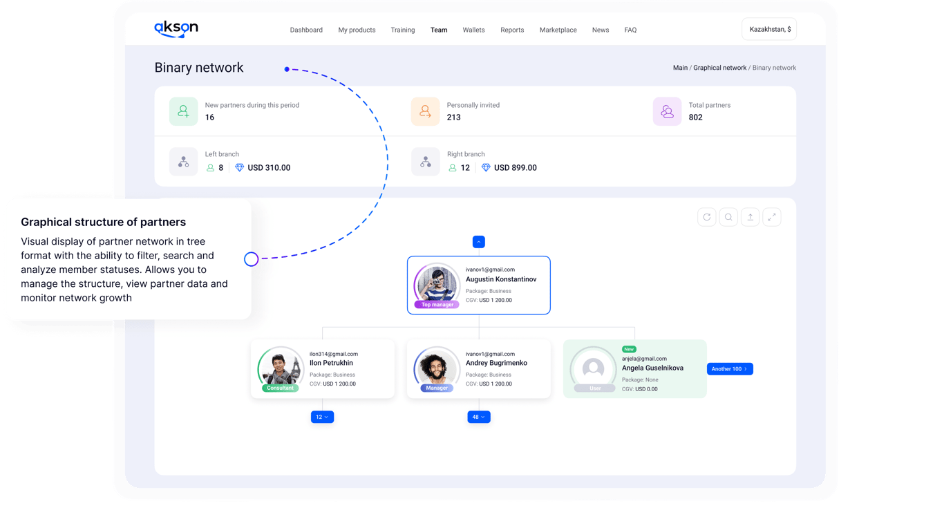 Graphic structure of partners