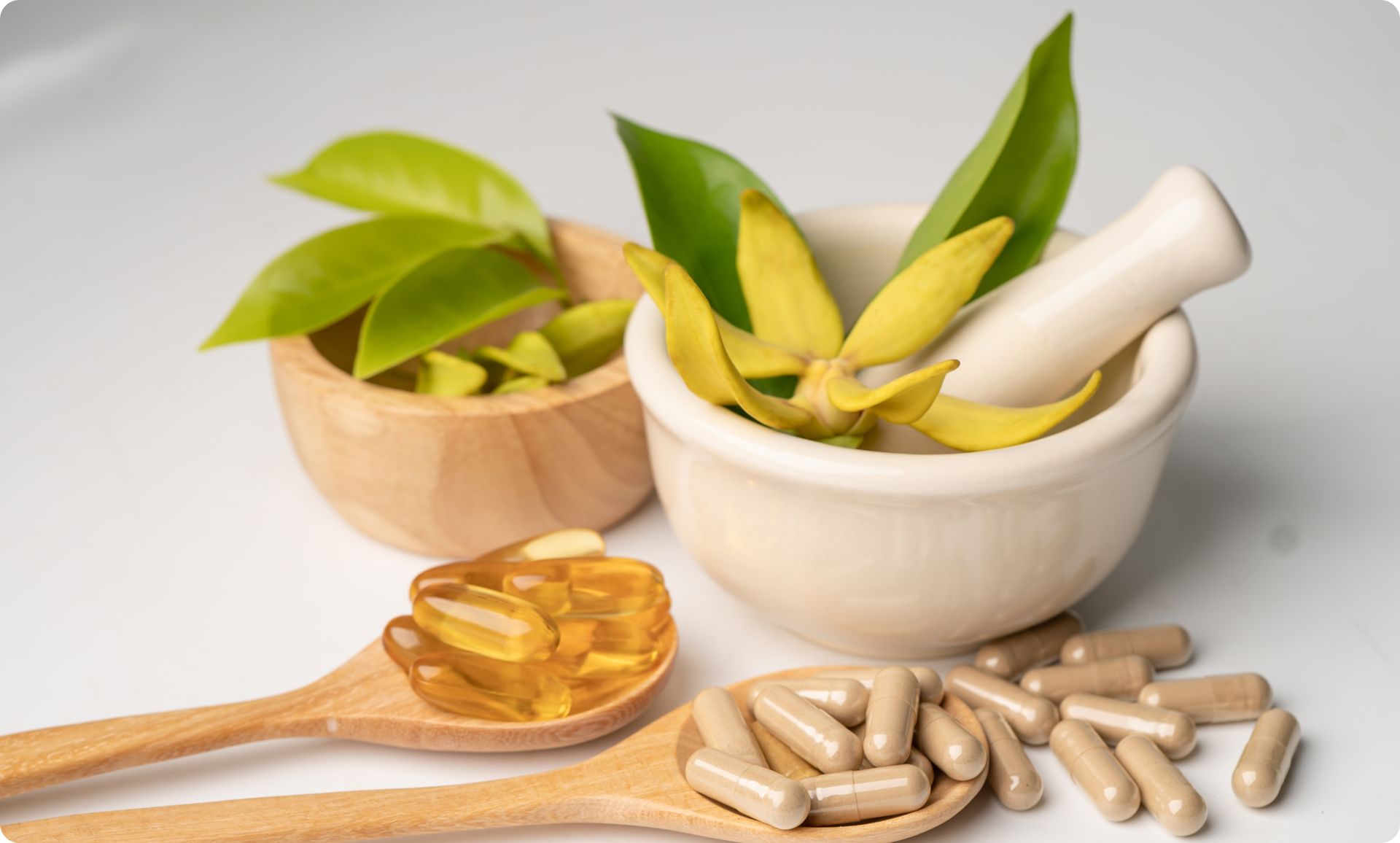 MLM Supplements Software