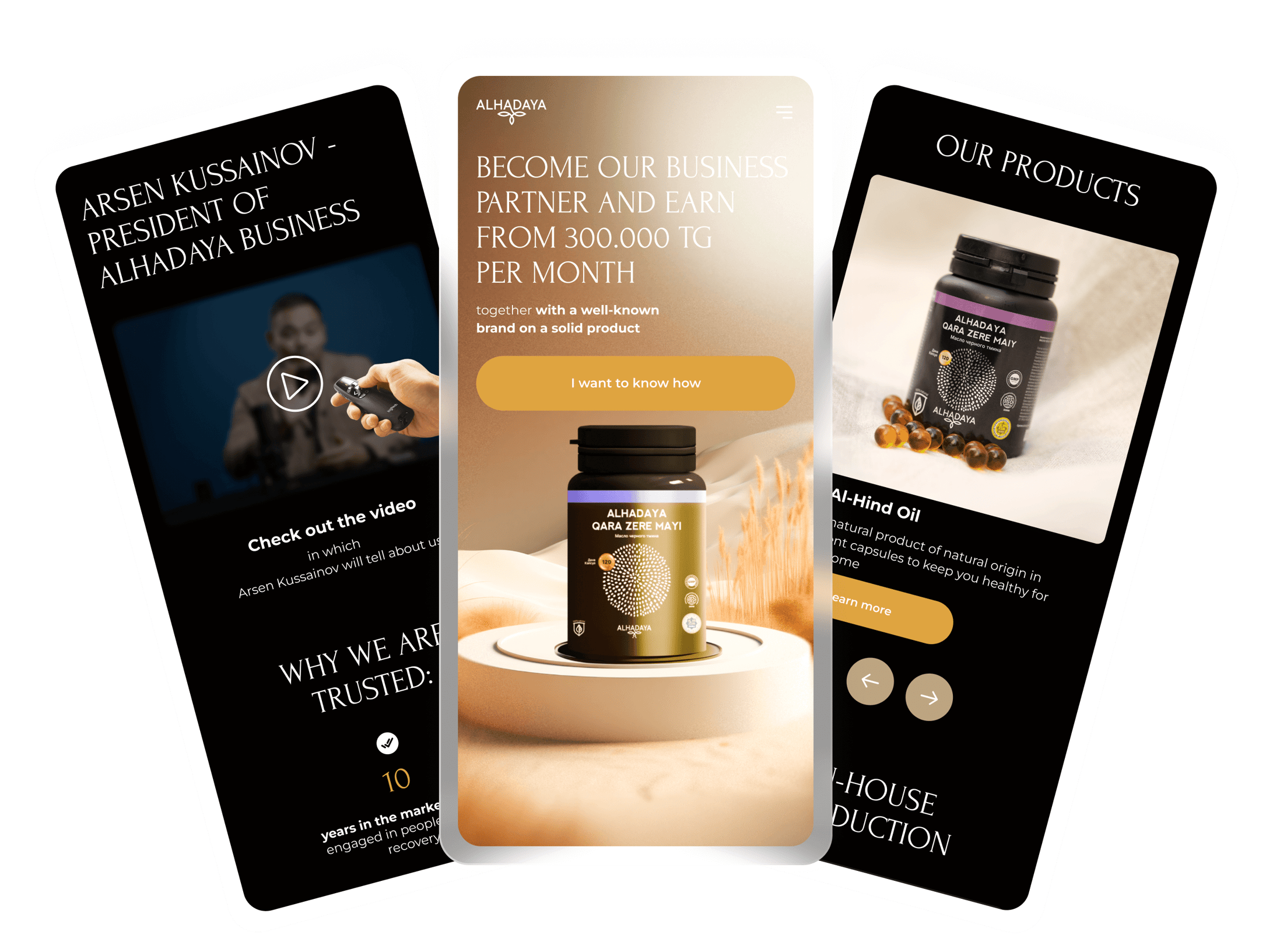 Website about the company + branded store 2