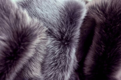 Elegant Deep Gray Purple Ovine Fur For Apparel Design - Quality Leather Product Manufactured By Yeşiller Deri Sanayi Ve Tic. Ltd. Şti.. Contact For B2B Orders.