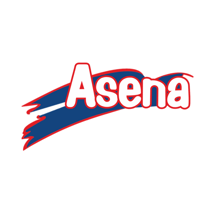 ASENA TERLIK AYAKKABI SAN. TIC. LTD. STI.