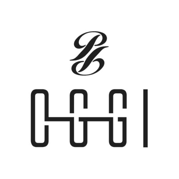 POLAT AYAKKABI SARACİYE ÜRÜNLERİ SAN. VE TİC. LTD. ŞTİ.