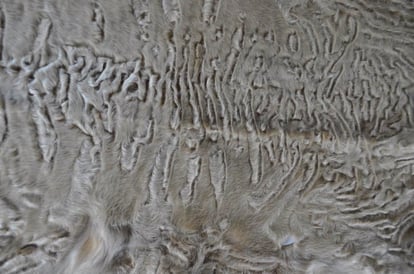 Elegantes Gelocktes Taupe Lammfell Für Exklusive Kleidung - Qualitatives Lederprodukt Hergestellt Von Furnova Kürk Sanayi̇ Ve Ti̇caret Li̇mi̇ted Şi̇rketi̇. Kontakt Für B2B-Bestellungen.