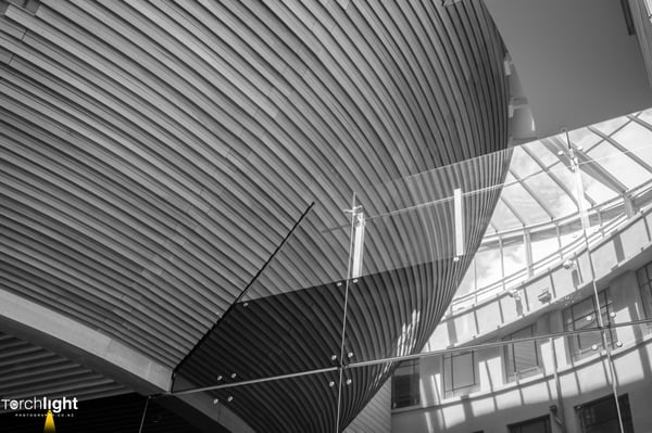 Auckland Museum