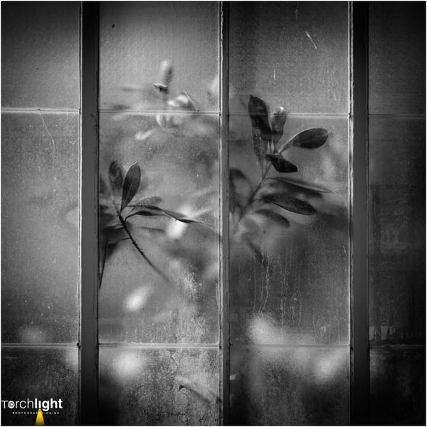 Black and white, photo 31