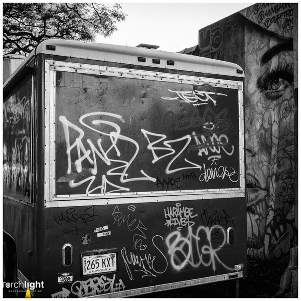 Black and white, photo 19