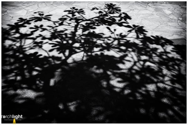 Black and white, photo 23