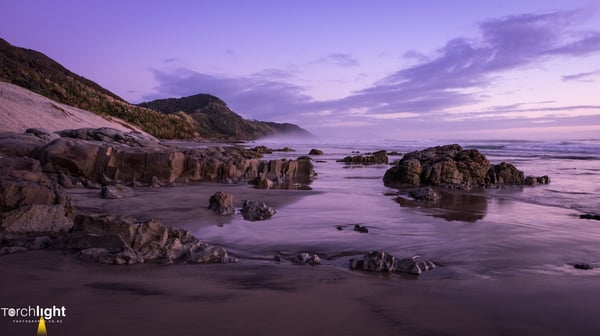 Mangwhai Purple Sunrise