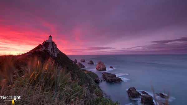Nugget Point