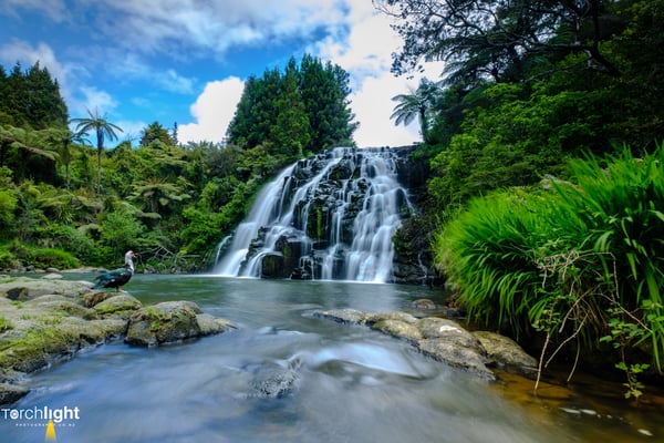 Water, photo 21