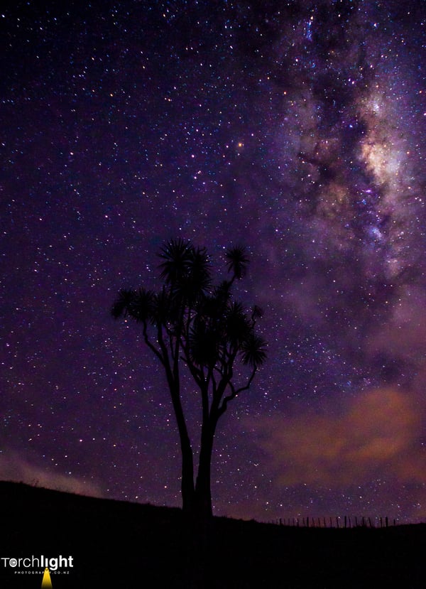Night, photo 11