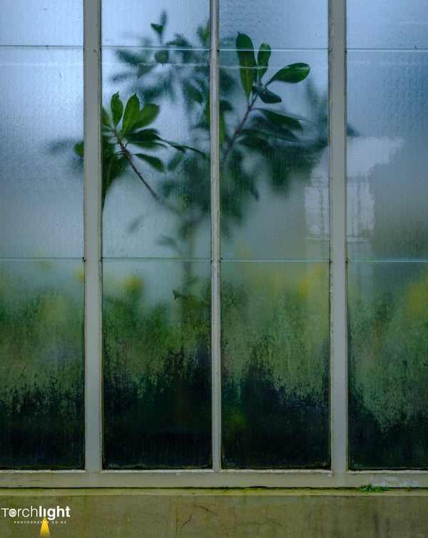 Auckland, photo 29