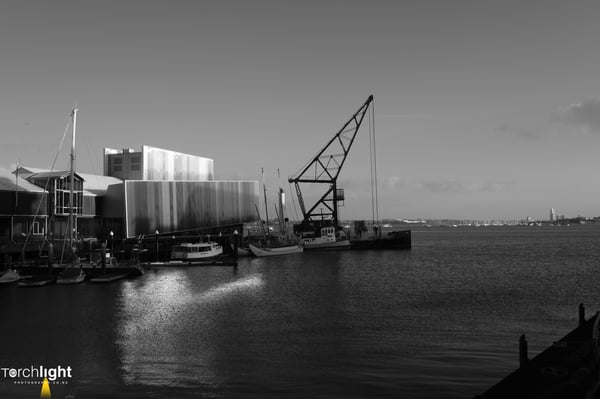 Auckland, photo 12