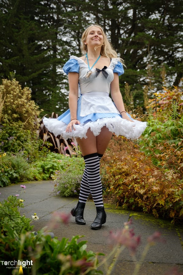 Dunedin, photo 3