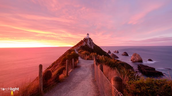 NZ South Island, photo 18