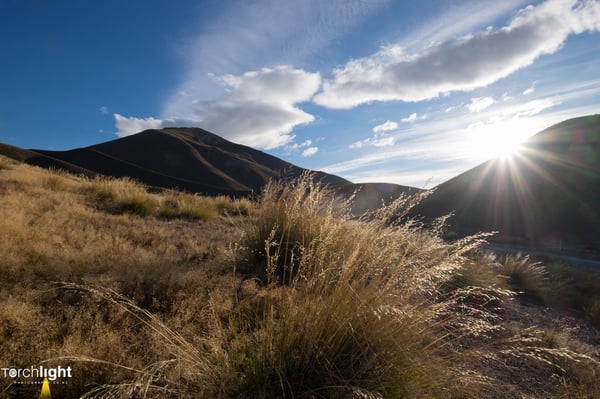 NZ South Island, photo 3