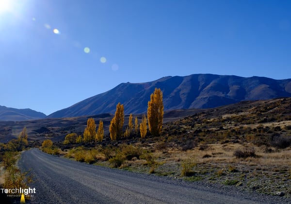 NZ South Island, photo 5