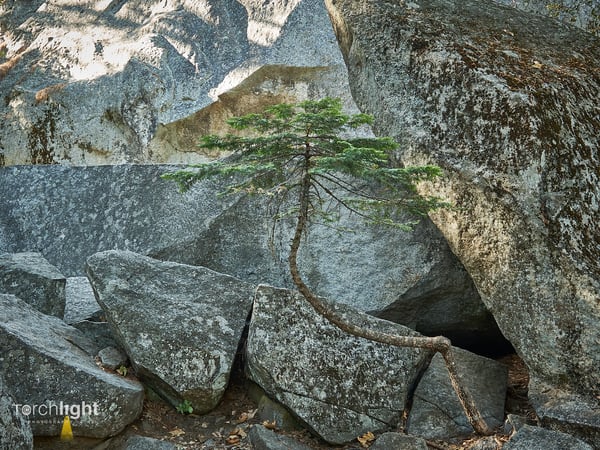 Yosemite, photo 3
