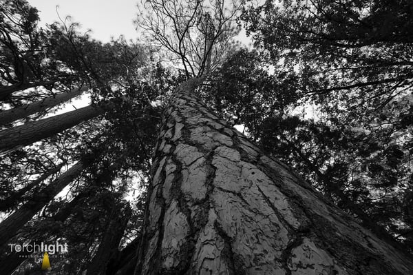 Yosemite, photo 2