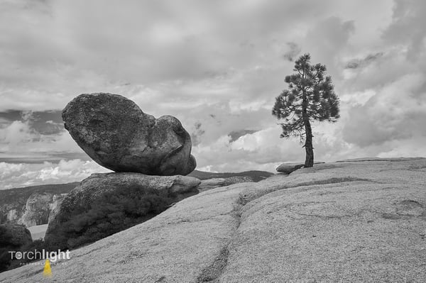 Yosemite, photo 7