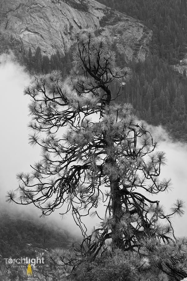 Yosemite, photo 5