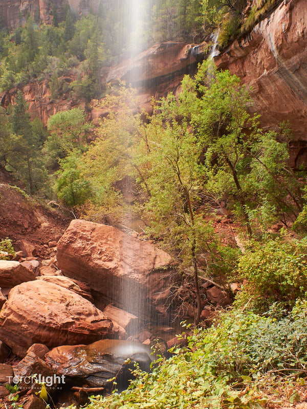 Zion National Park, photo 5
