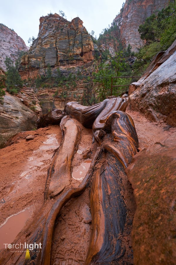 Zion National Park, photo 4
