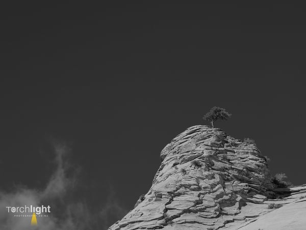 Zion National Park, photo 1