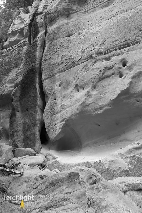 Zion National Park, photo 6