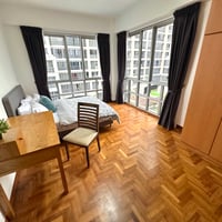 205 River Valley Road · Condo Master Room for Rent · Singapore River - Image 3 of 9 - Thumbnail