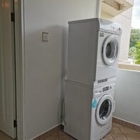 Tanglin Condo Whole Unit for Rent – 53B Grange Road - Image 7 of 9 - Thumbnail