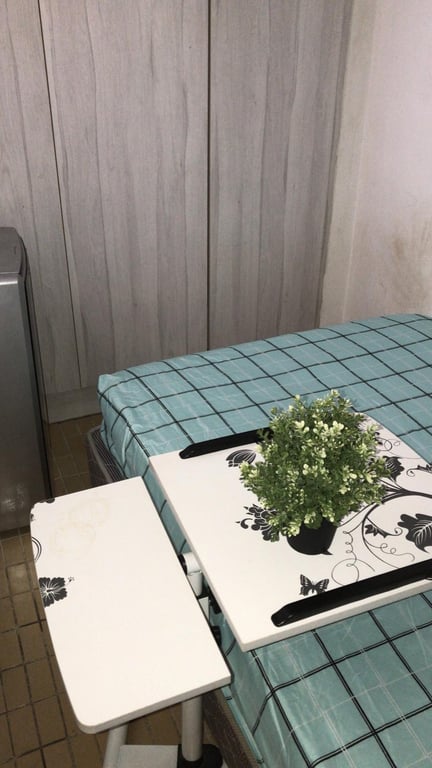Condo Common Room for Rent in Toa Payoh · 10R Braddell Hill, 579735 · S$ 880/mo - Image 7 of 13