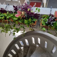 Kallang Condo Common Room for Rent – 260 Jalan Besar - Image 11 of 13 - Thumbnail