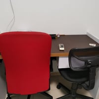 HDB Master Room for Rent at 258 Bukit Batok East Avenue 4, Bukit Batok - Image 3 of 4 - Thumbnail