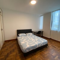 Tanglin Condo Common Room for Rent – 16B Margoliouth Road - Image 2 of 7 - Thumbnail