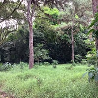 Jurong West HDB Common Room for Rent – 211 Boon Lay Place - Image 1 of 2 - Thumbnail