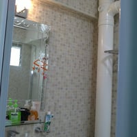 Choa Chu Kang HDB Master Room for Rent – 288 Choa Chu Kang Avenue 3 - Image 2 of 5 - Thumbnail